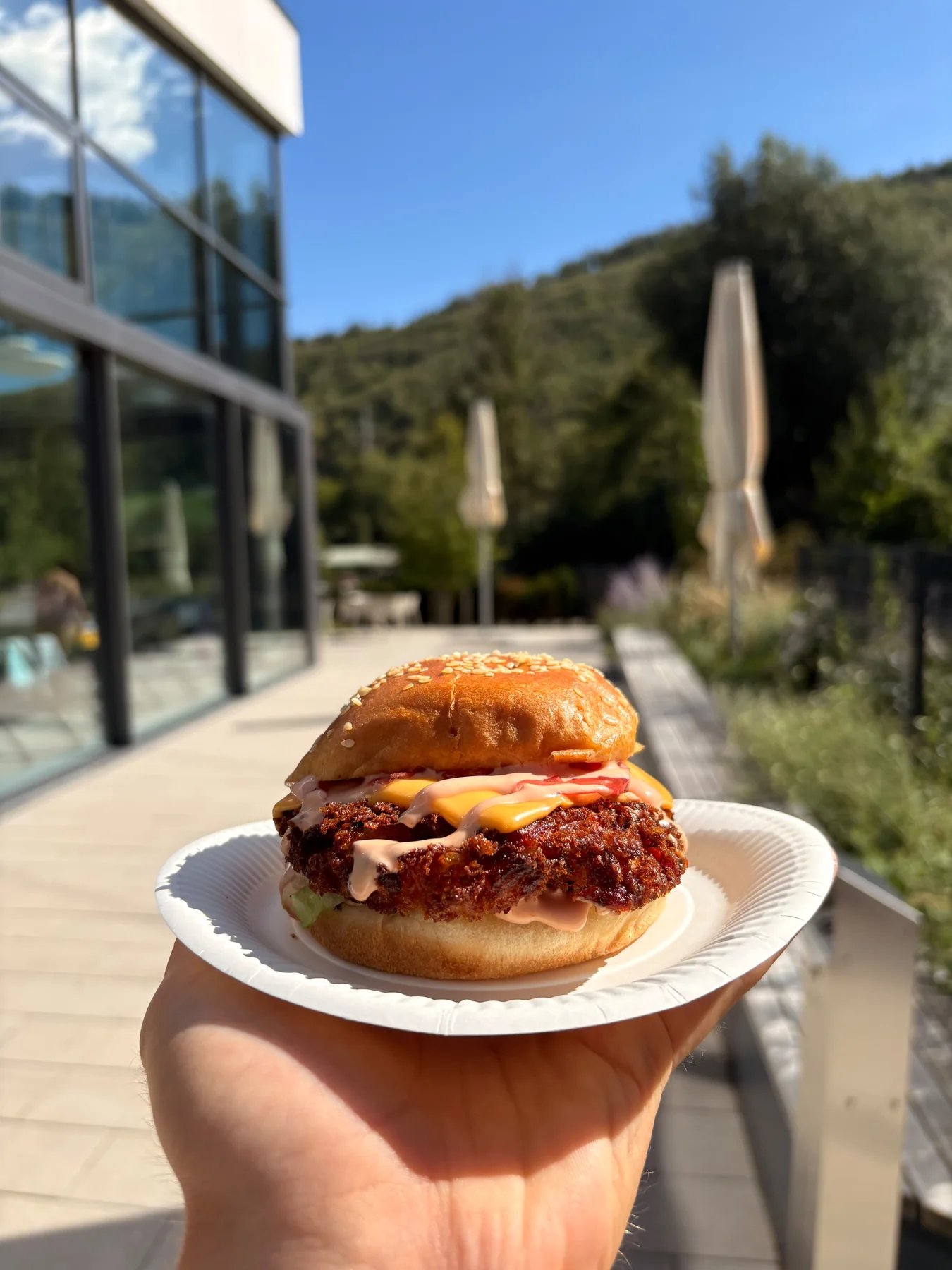 Fancy's Chicken Burger mit knuspriger Panade, Käse, Tomate und Sauce im Sesam-Bun auf einem Teller im Freien